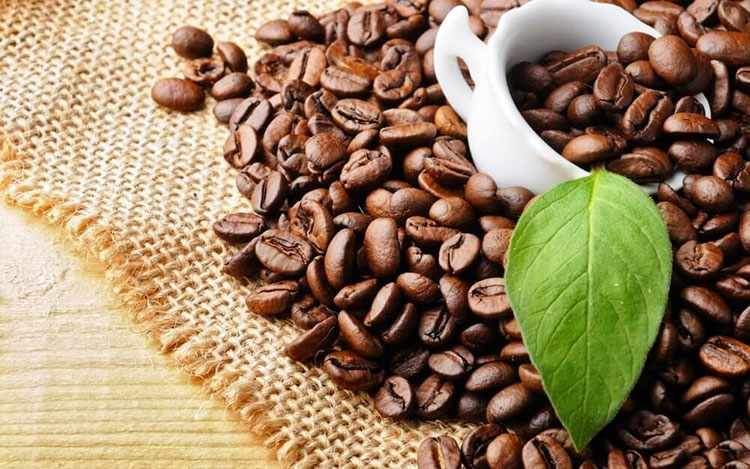 Cà Phê Chữ I Trung Nguyên Xay Sẵn 500g - Hình ảnh 4
